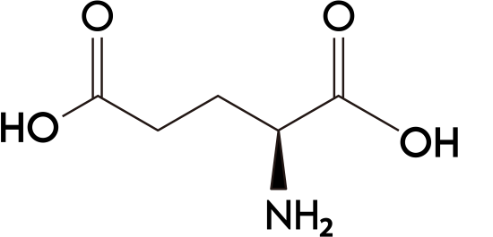 グルタミン酸の元素記号を用いた説明
