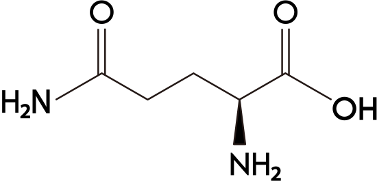 グルタミンの元素記号を用いた説明