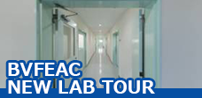 BV FEAC NEW LAB TOUR.png