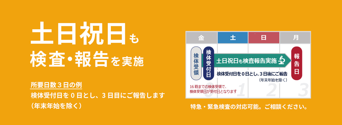 バナー画像：土日祝日も検査・報告を実施。特急・緊急検査の対応可能。ご相談ください。