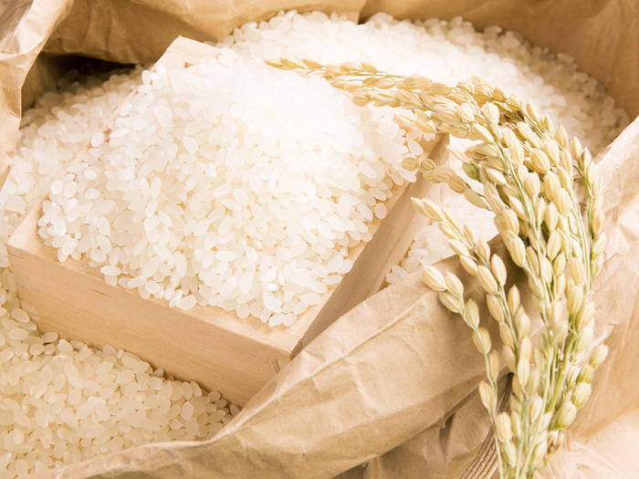 米 食味構成要素分析