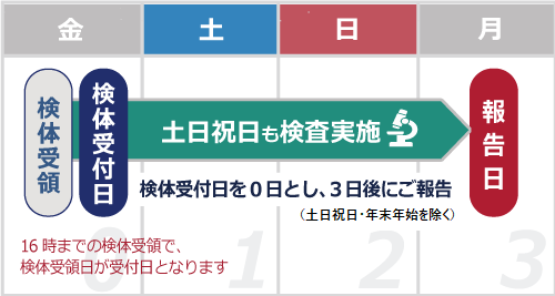 土日祝日も検査実施の説明イメージ画像